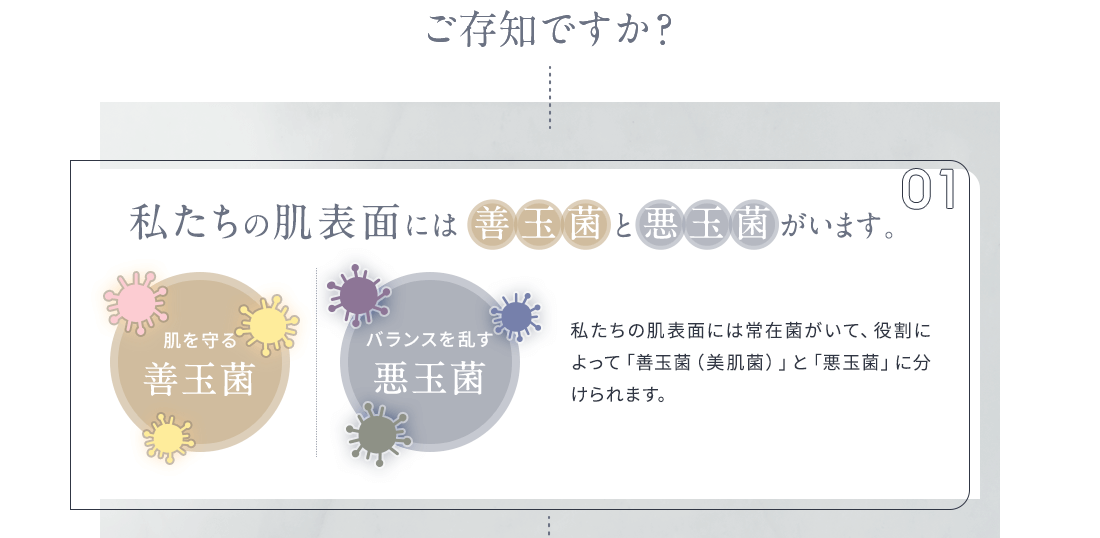 ご存知ですか？私たちの肌表面には善玉菌と悪玉菌がいます。
