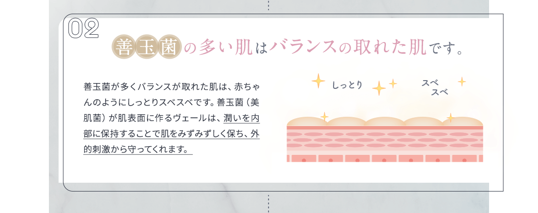 善玉菌の多い肌はバランスの取れた肌です