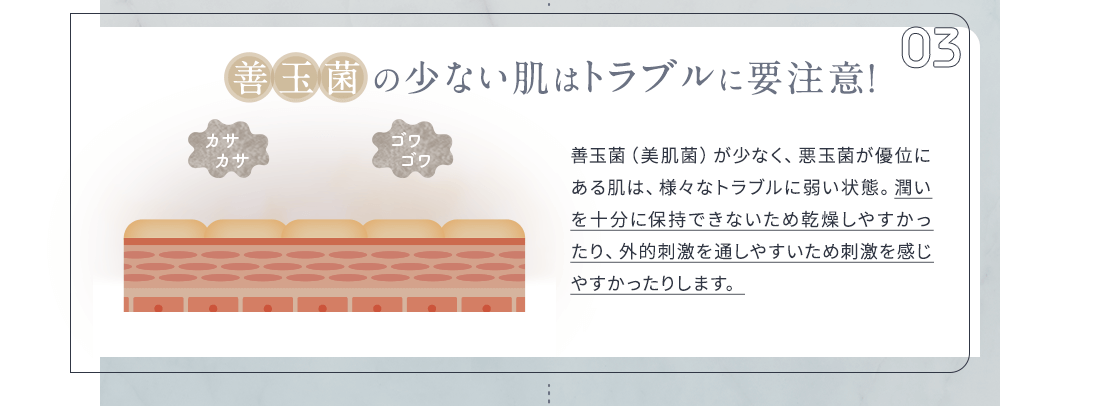 善玉菌の少ない肌はトラブルに要注意