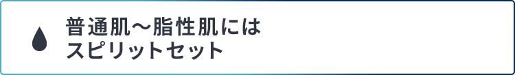 普通肌の方にはスピリットセット