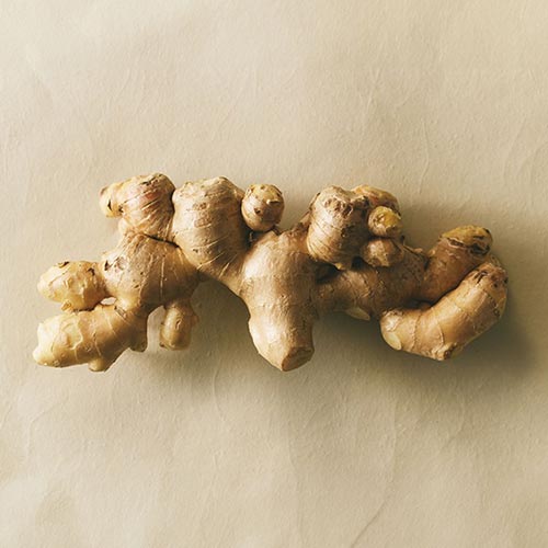 ショウガ根エキス