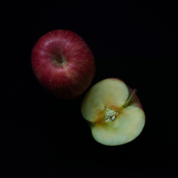 りんご植物幹細胞エキス配合の抗酸化作用が高いスキンケア