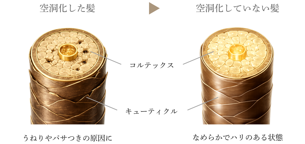 空洞化した髪と空洞化していない髪の比較