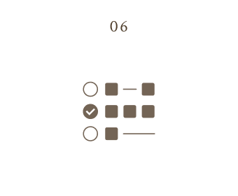 06
