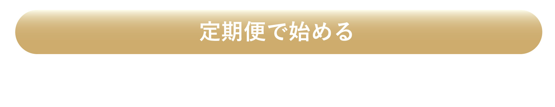 SP画像8