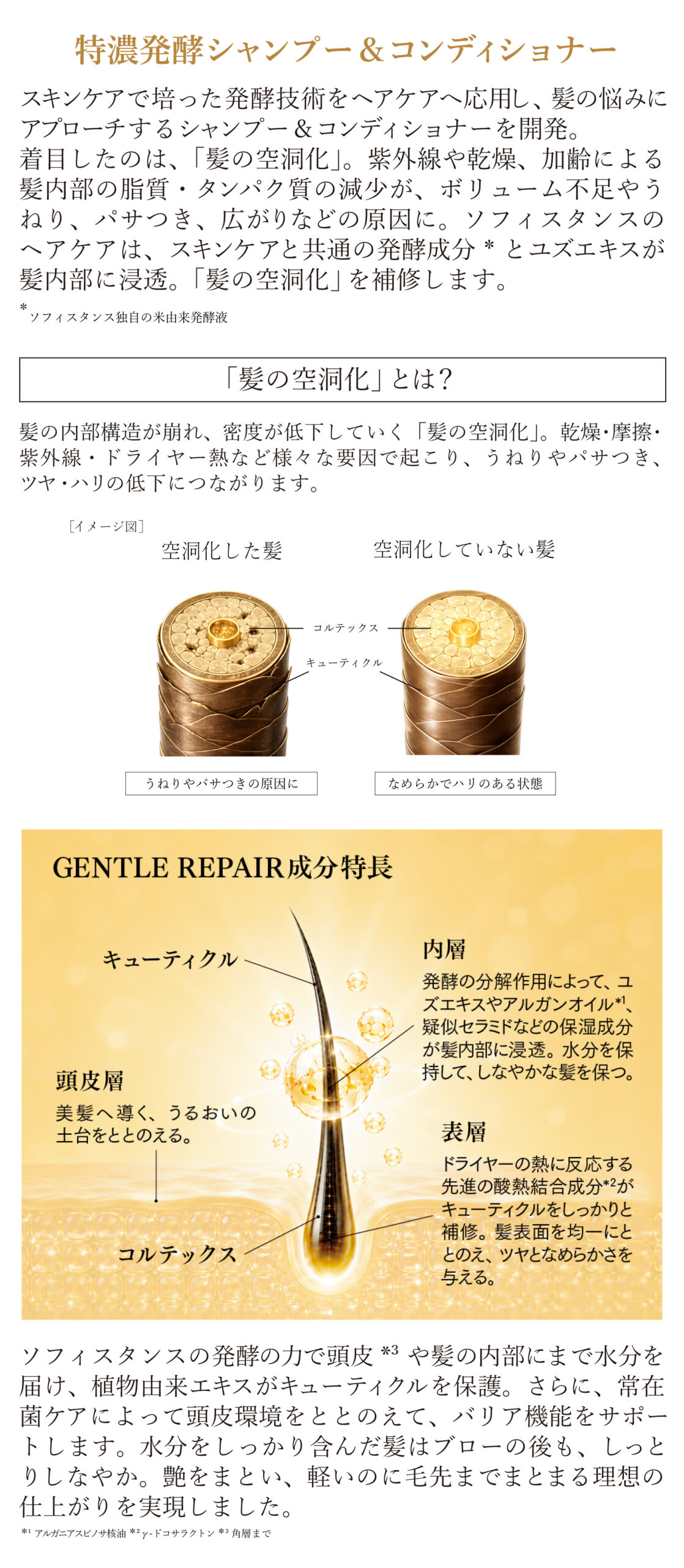 SP画像4