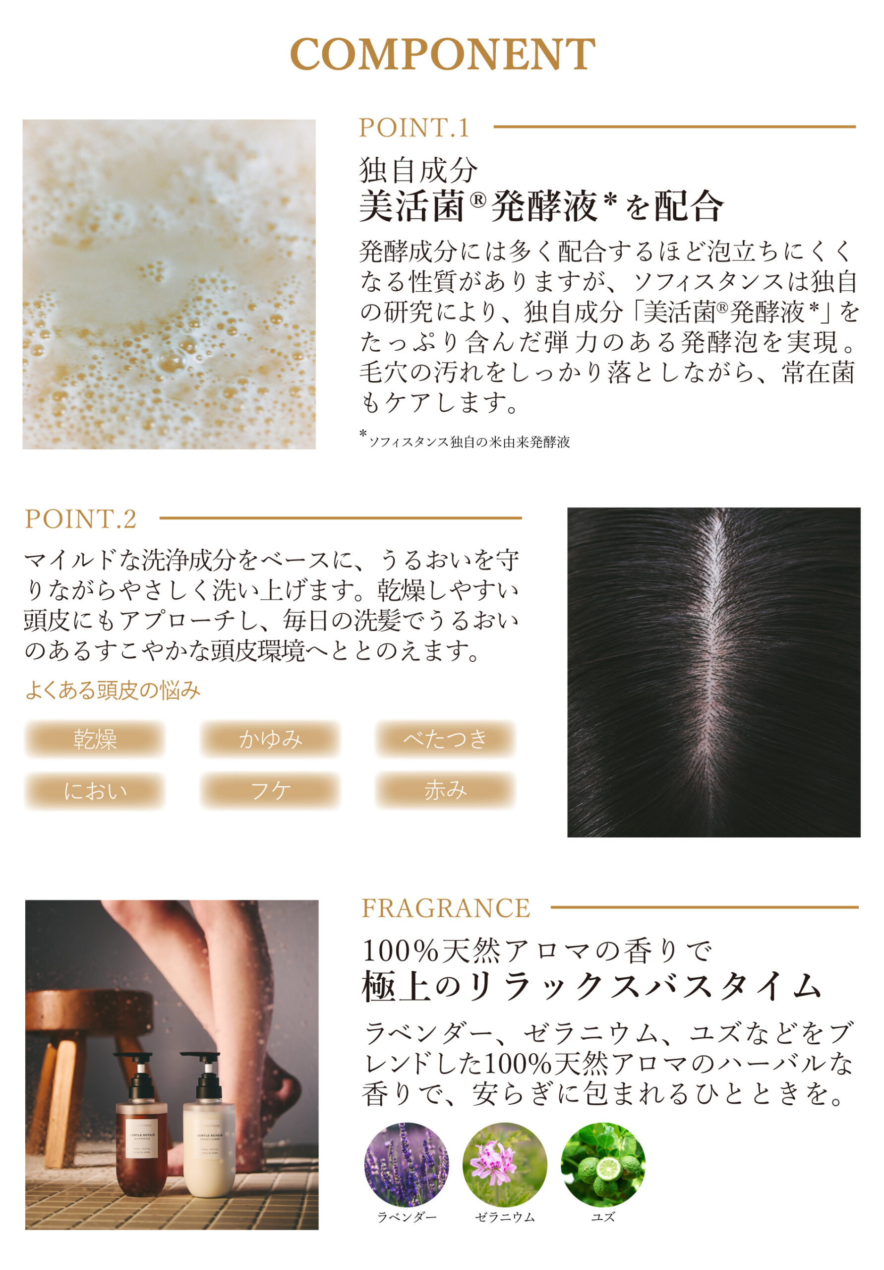 SP画像3-2